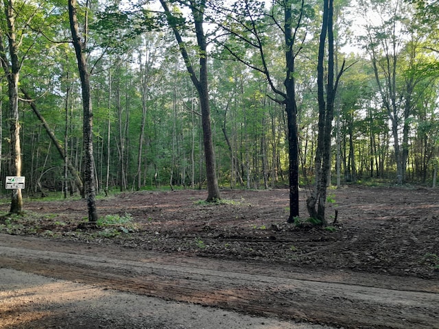 TBD Willy Rd, Big Bend Twp, WI 54895 - photo 6
