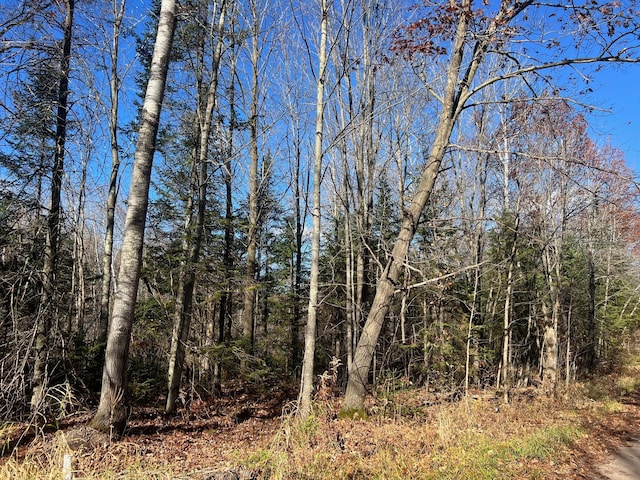 TBD Willy Rd, Big Bend Twp, WI 54895 - photo 7
