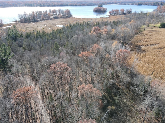 TBD Willy Rd, Big Bend Twp, WI 54895 - photo 8