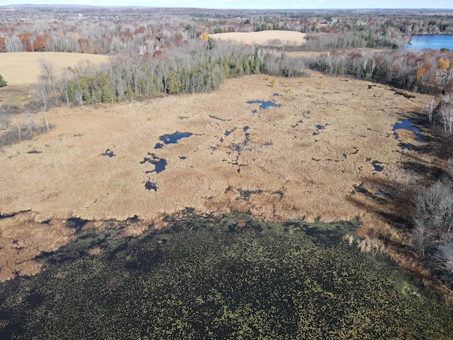 TBD Willy Rd, Big Bend Twp, WI 54895 - photo 9