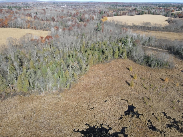 TBD Willy Rd, Big Bend Twp, WI 54895 - photo 10