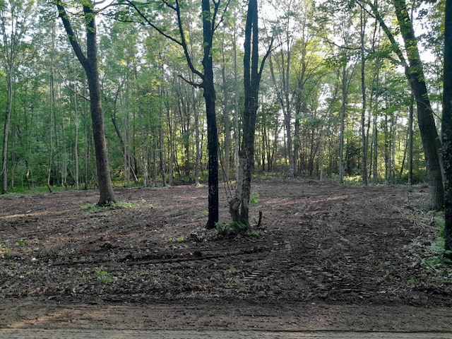 TBD Willy Rd, Big Bend Twp, WI 54895 - photo 11