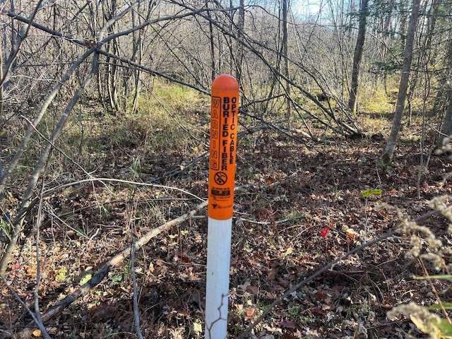 TBD Willy Rd, Big Bend Twp, WI 54895 - photo 12