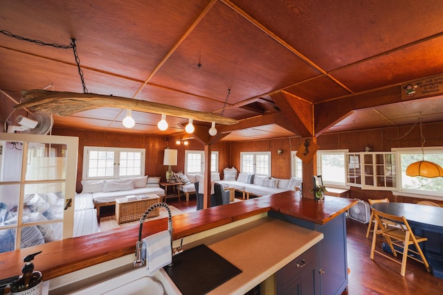 5607 Skogvei Rd, Duluth, MN 55803 - kitchen with wooden walls, dark wood-style flooring, open floor plan, wood ceiling, and plenty of natural light