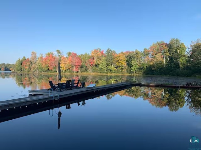5607 Skogvei Rd, Duluth, MN 55803 - dock with a water view and a forest view