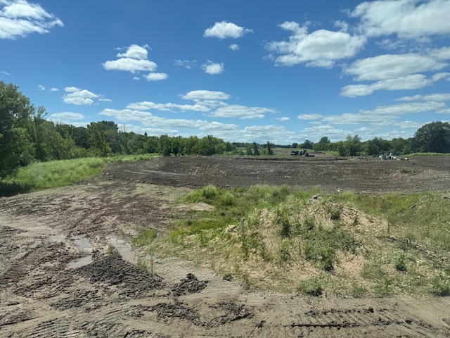 20119 68th Pl, Corcoran, MN 55340 - photo 4