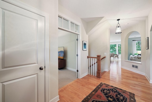 4535 Bluebell Trl S, Medina, MN 55340 - photo 5