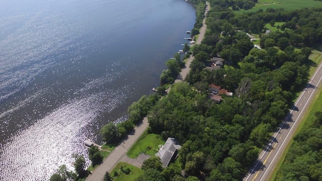 14574 Old Lake Rd, Paynesville Twp, MN 56362 - photo 1