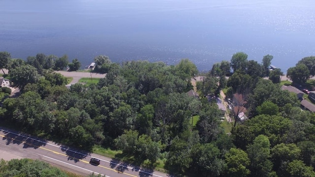 14574 Old Lake Rd, Paynesville Twp, MN 56362 - photo 4