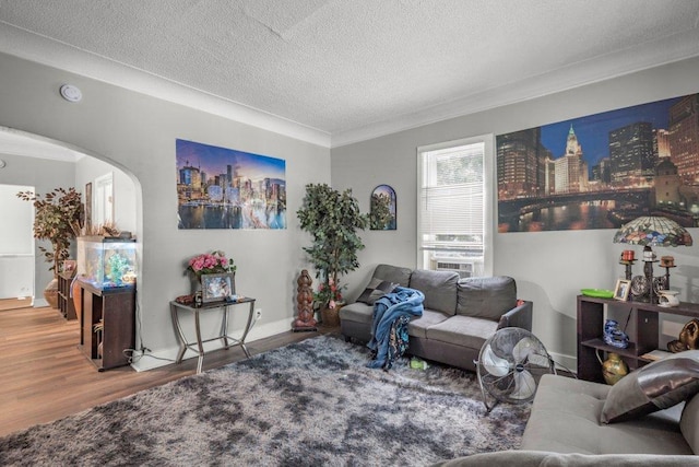 4111 Bryant Ave N, Minneapolis, MN 55412 - living room with a textured ceiling, crown molding, wood finished floors, arched walkways, and a city view