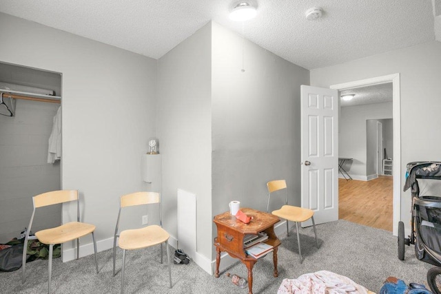 4111 Bryant Ave N, Minneapolis, MN 55412 - living area featuring a textured ceiling and carpet flooring