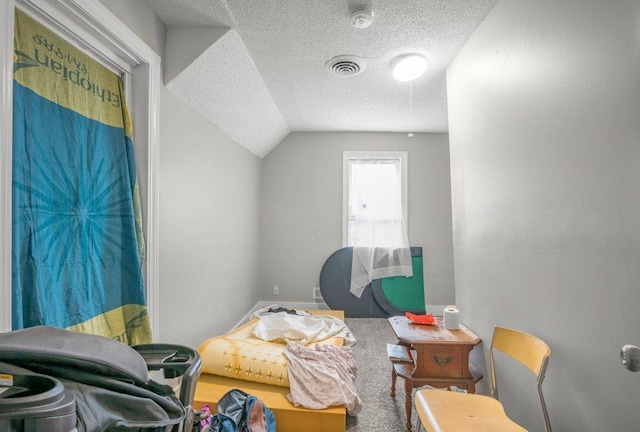 4111 Bryant Ave N, Minneapolis, MN 55412 - bedroom with a textured ceiling and lofted ceiling
