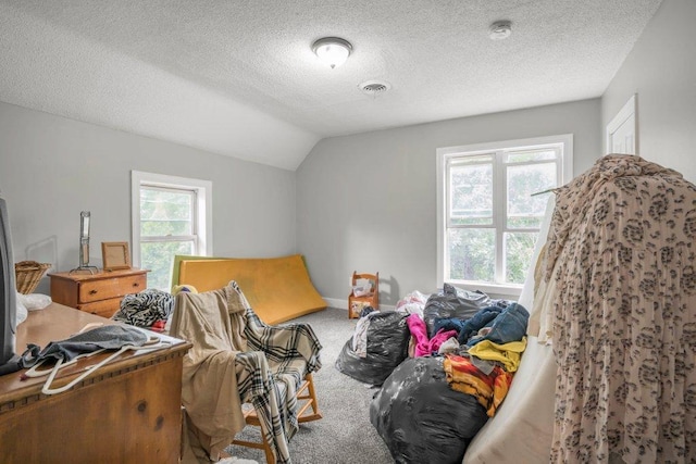 4111 Bryant Ave N, Minneapolis, MN 55412 - carpeted bedroom with lofted ceiling and a textured ceiling