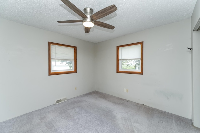57046 160th Ave, Concord Twp, MN 55985 - photo 15