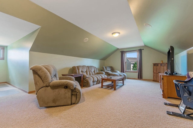 11115 Red Leaf Dr, Rogers, MN 55374 - photo 25