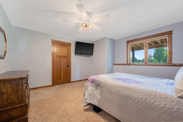11115 Red Leaf Dr, Rogers, MN 55374 - photo 36