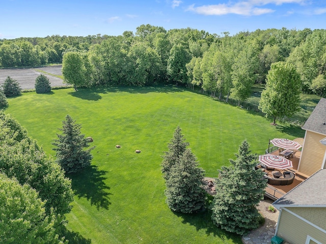 11115 Red Leaf Dr, Rogers, MN 55374 - photo 49