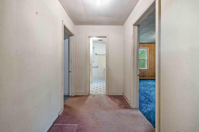 13425 Pillager Dam Rd SW, Sylvan Twp, MN 56473 - hallway featuring carpet