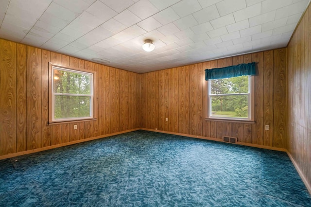 13425 Pillager Dam Rd SW, Sylvan Twp, MN 56473 - empty room featuring healthy amount of natural light, wooden walls, and carpet floors