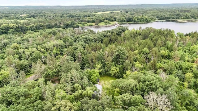 13425 Pillager Dam Rd SW, Sylvan Twp, MN 56473 - drone / aerial view of a heavily wooded area and a large body of water