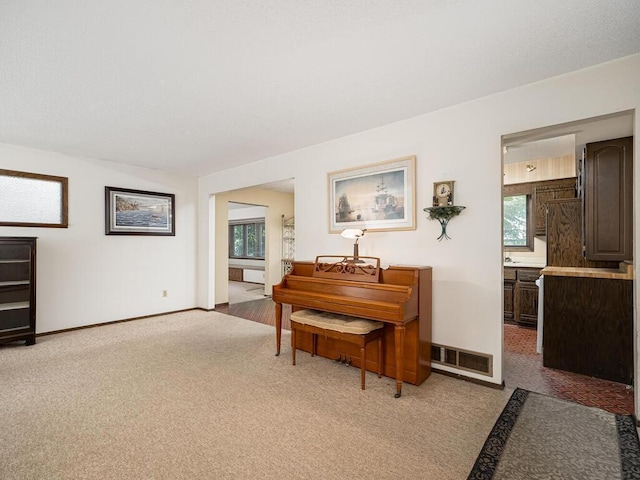 17625 Jefferson St NE, Ham Lake, MN 55304 - photo 15