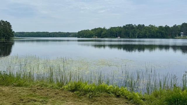 6592 Dewey Point Rd, Chisholm, MN 55719 - photo 11