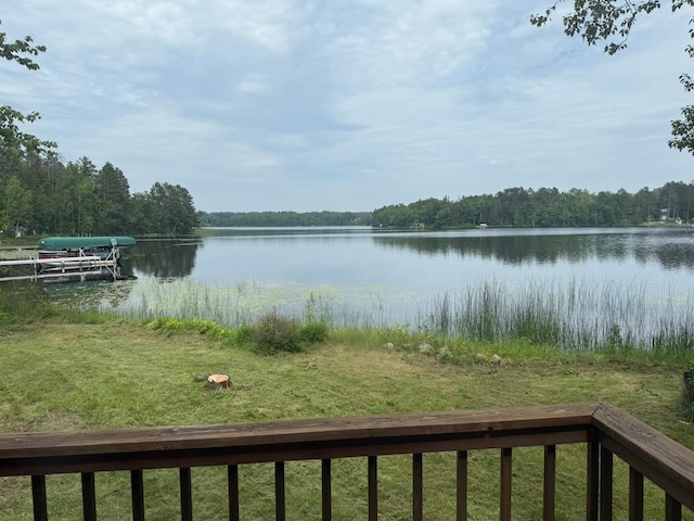 6592 Dewey Point Rd, Chisholm, MN 55719 - photo 31
