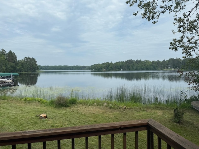 6592 Dewey Point Rd, Chisholm, MN 55719 - photo 32