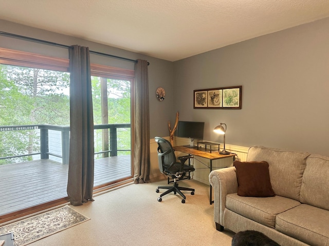 6714 Shingobee Rd NW, Walker, MN 56484 - photo 74