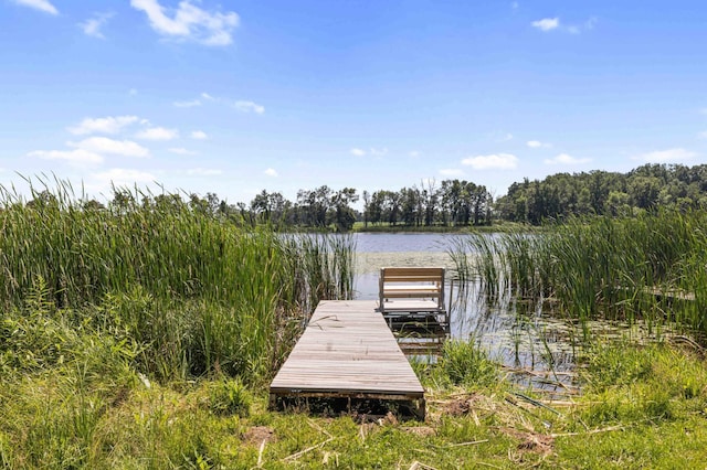 51800 500th St, Menahga, MN 56464 - dock featuring a water view