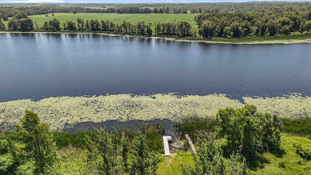 51800 500th St, Menahga, MN 56464 - bird's eye view of a large body of water and a forest