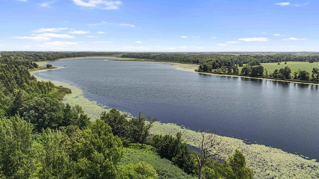 51800 500th St, Menahga, MN 56464 - drone / aerial view of a large body of water