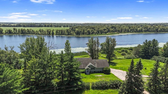 51800 500th St, Menahga, MN 56464 - water view with a forest
