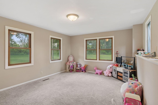 4061 226th Ln NE, East Bethel, MN 55011 - photo 37