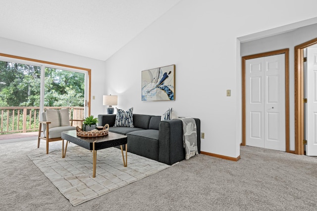 8811 Coffman Path, Inver Grove Heights, MN 55076 - living area featuring carpet floors and high vaulted ceiling