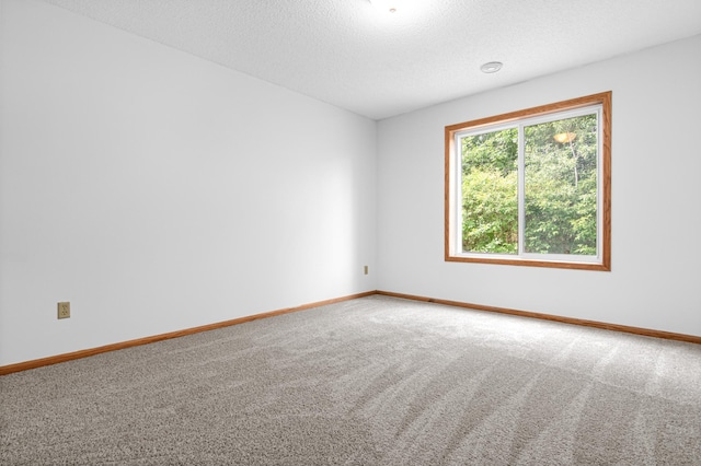 8811 Coffman Path, Inver Grove Heights, MN 55076 - carpeted empty room featuring baseboards and a textured ceiling
