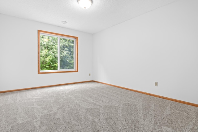 8811 Coffman Path, Inver Grove Heights, MN 55076 - unfurnished room featuring carpet