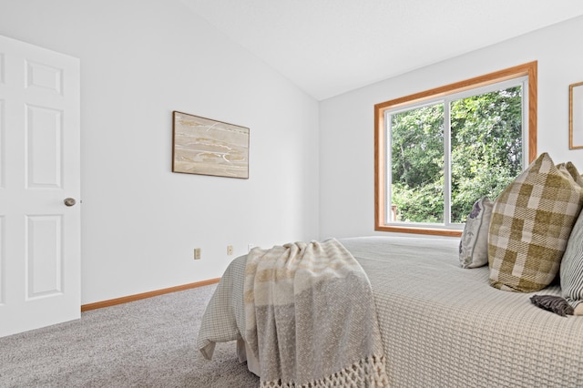 8811 Coffman Path, Inver Grove Heights, MN 55076 - bedroom with lofted ceiling and carpet flooring