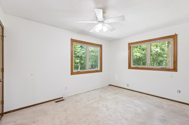 18922 Joplin St NW, Elk River, MN 55330 - photo 12