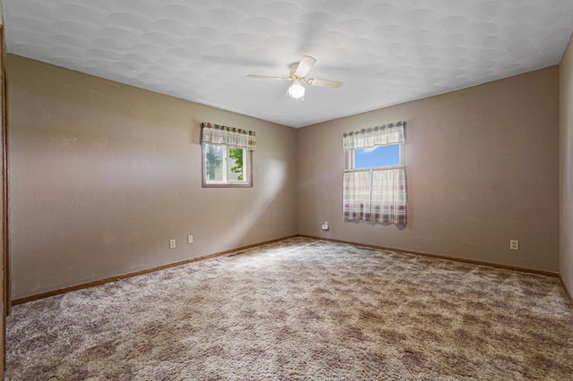 7793 Austin Rd, Claremont, MN 55924 - photo 28