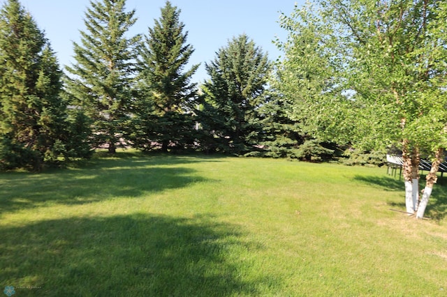 1401 17th Ave N, Wahpeton, ND 58075 - photo 7