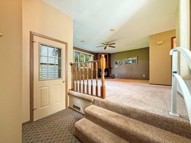 305 3rd Ave E, Truman, MN 56088 - photo 16