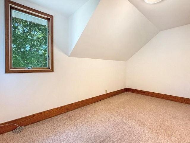 305 3rd Ave E, Truman, MN 56088 - photo 29