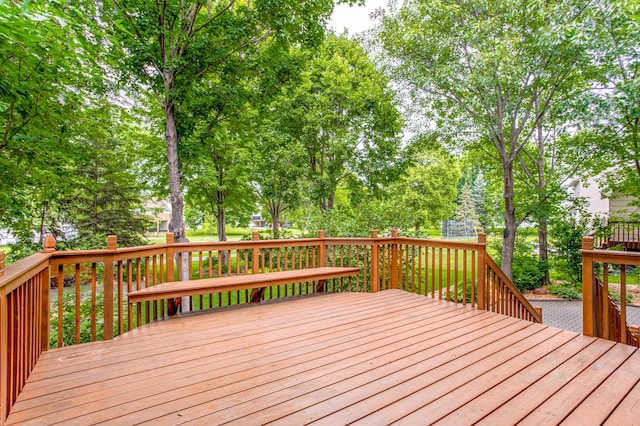 8933 Trinity Gdns N, Brooklyn Park, MN 55443 - photo 6