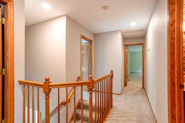 8933 Trinity Gdns N, Brooklyn Park, MN 55443 - photo 27