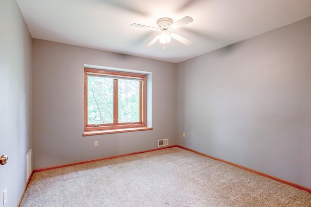 8933 Trinity Gdns N, Brooklyn Park, MN 55443 - photo 38