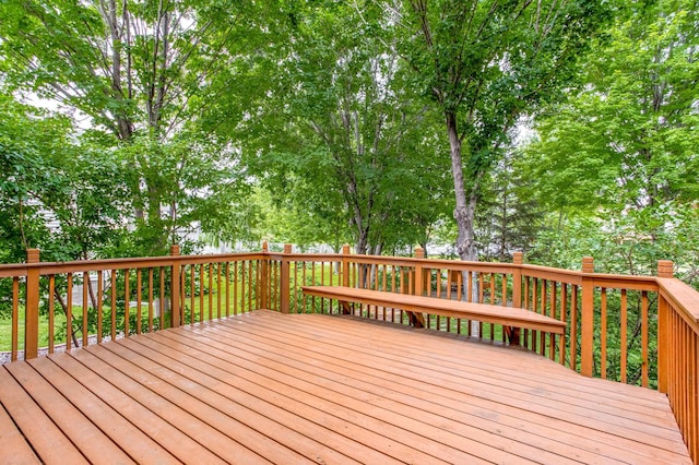 8933 Trinity Gdns N, Brooklyn Park, MN 55443 - photo 62