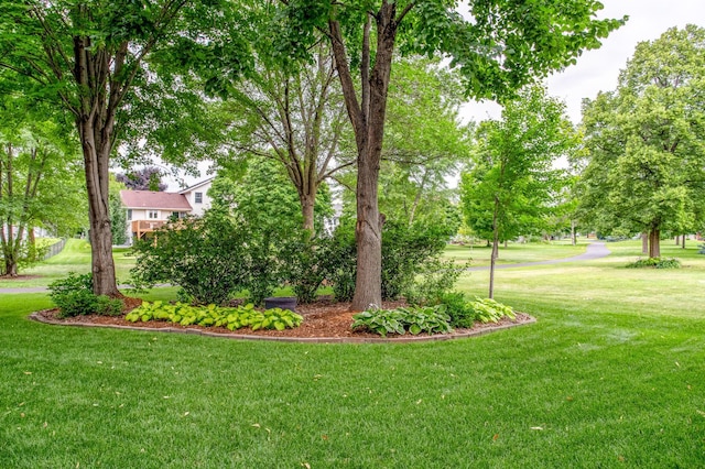 8933 Trinity Gdns N, Brooklyn Park, MN 55443 - photo 63