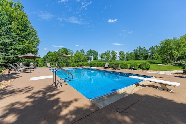 260 Calamus Cir, Medina, MN 55340 - photo 51