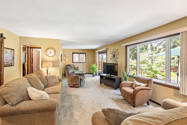 10315 Boundary Creek Ter, Maple Grove, MN 55369 - living area with light carpet and a textured ceiling